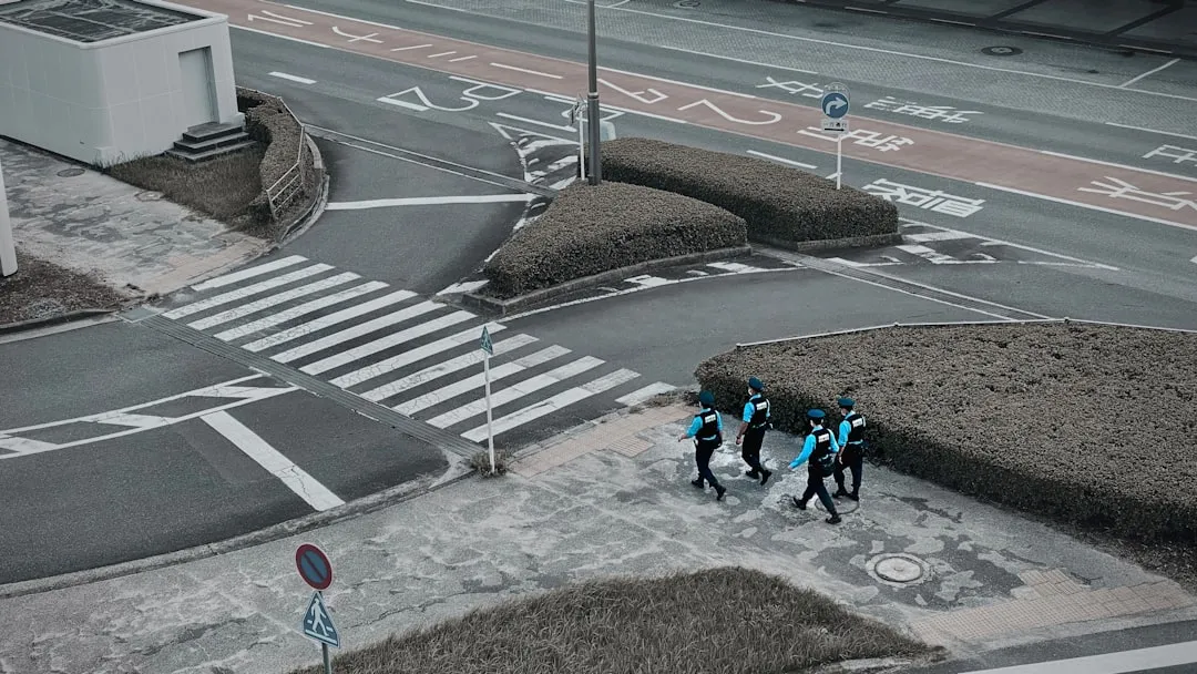 Анализ поведения велосипедистов на пешеходных переходах в Германии с помощью дронов