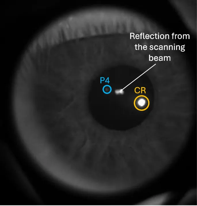 Рис. 1. Изображение глаза, записанное внешней камерой. Отмечены центры зрачка, роговичного рефлекса (CR) и четвертого блика Пуркинье (P4).