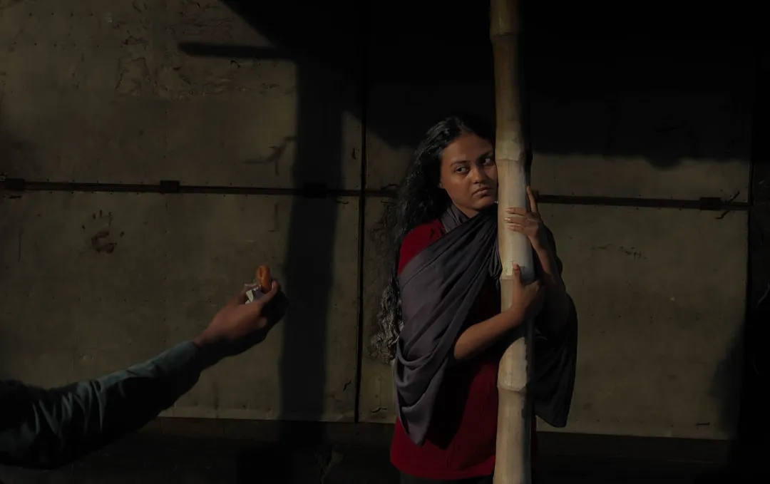 Анализ зрительских настроений и мнений к домашнему насилию в индийских кинотрейлерах