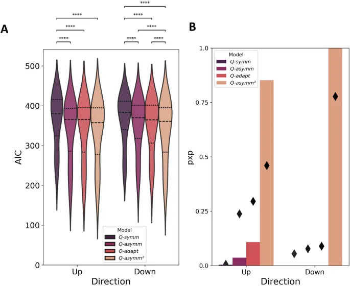 Рис. 5: Детали моделей