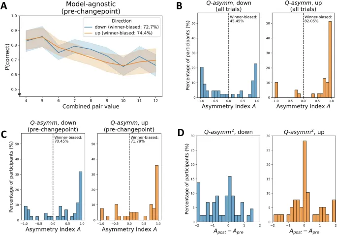 Рис. 4: Модельные соответствия и асимметрия обучения