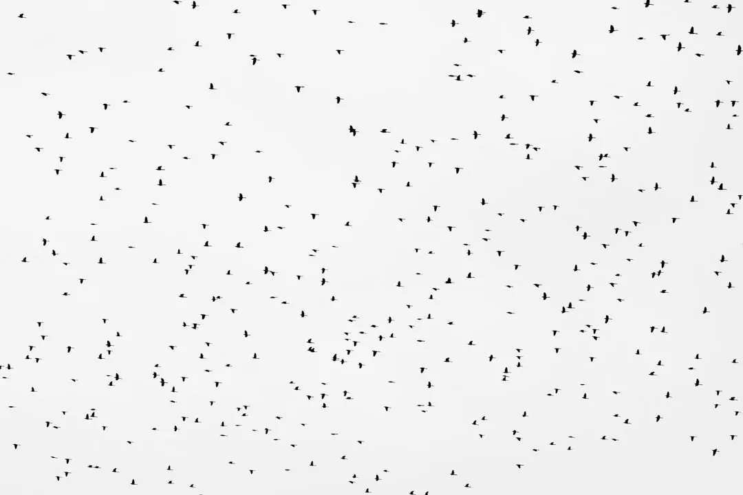 AttentionMNIST: набор данных отслеживания внимания для распознавания рукописных цифр и букв