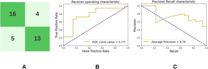 Рисунок 3: Результаты классификации на тестовых данных (матрица ошибок, ROC-кривая, PR-кривая)