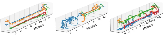 Рис. 5 Показаны три примера групповых сессий xy пиксельных координат/траекторий людей