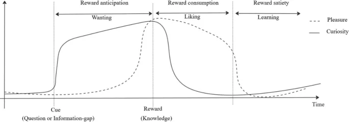 Рис. 2. Цикл вознаграждения любопытством вызывающего знания: любопытство как предвкушение эпистемического вознаграждения.