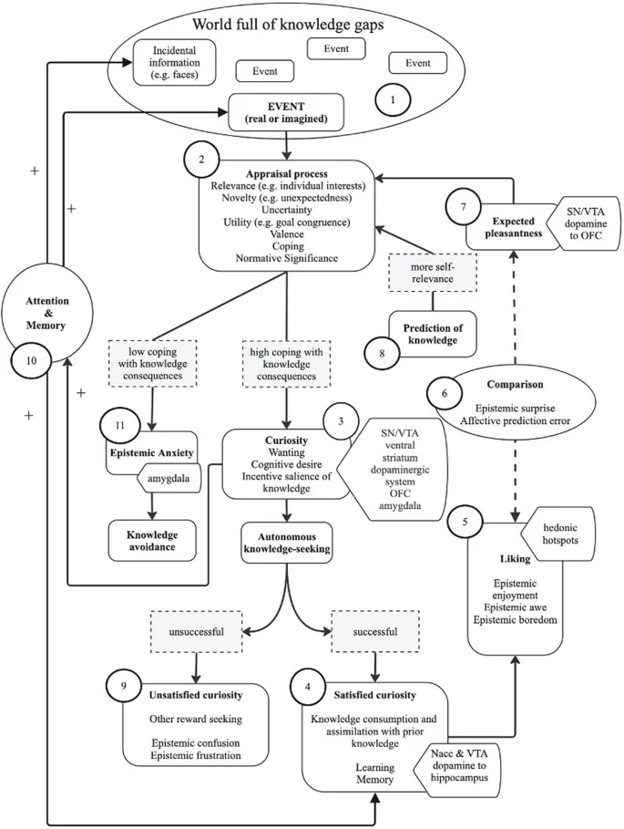 Рис. 3. Интегративная модель оценки эпистемического любопытства (IAMEC).