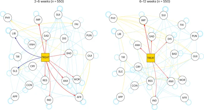 Рисунок 4: Временно отстающие сети симптомов депрессии и тревоги