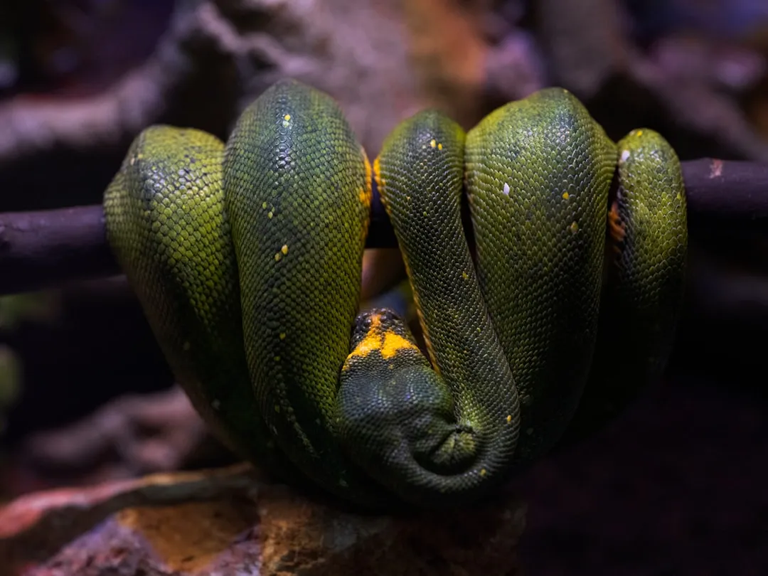 Электроэнцефалографическая огибающая сна как нейронный биомаркер