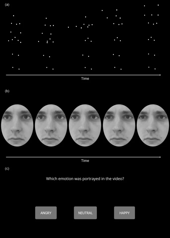 Рисунок 1: Пример стимулов EmBody и EmFace.