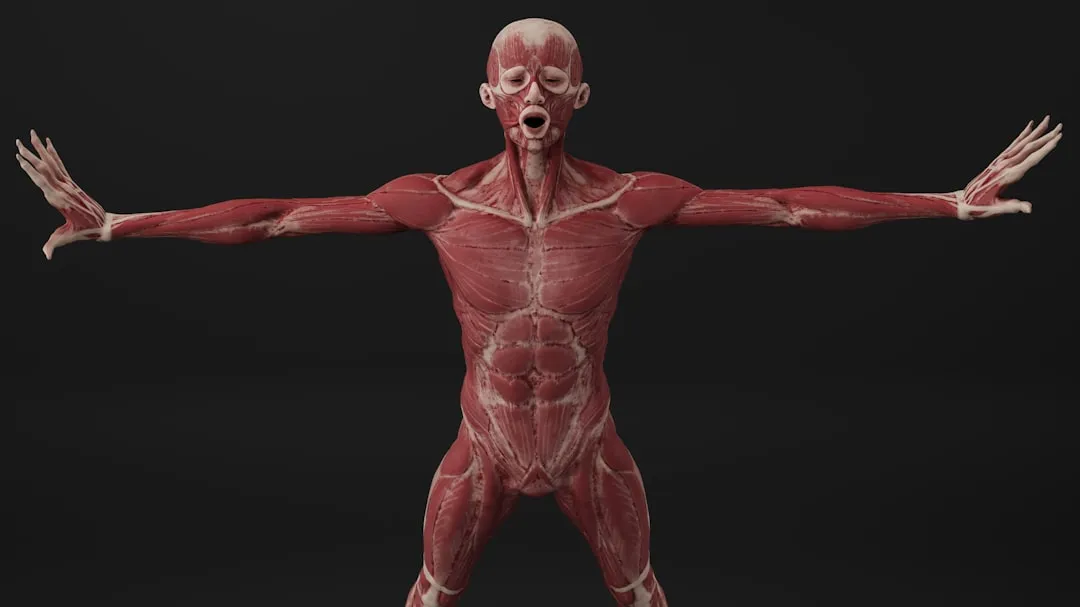 EmBody/EmFace: Новый инструмент для оценки распознавания эмоций по мимике и жестам