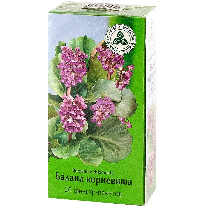 Корневище бадана 1,5 г №20 – противовоспалительное средство