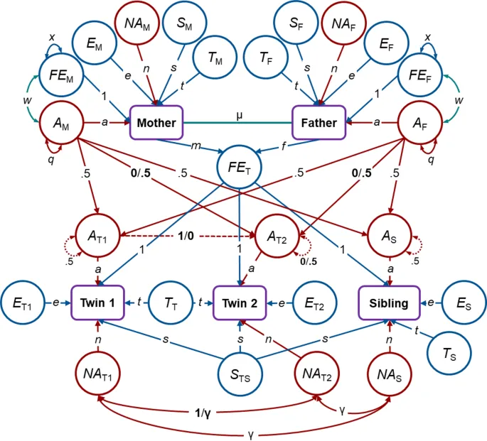 Рисунок 1. Модель семьи ядерных близнецов
