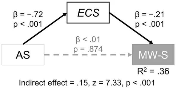 Фигура 4: Медиационная модель, связывающая апатию, исполнительные функции и спонтанное блуждание ума