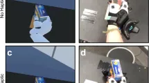 Виртуальная рука в очках дополненной реальности