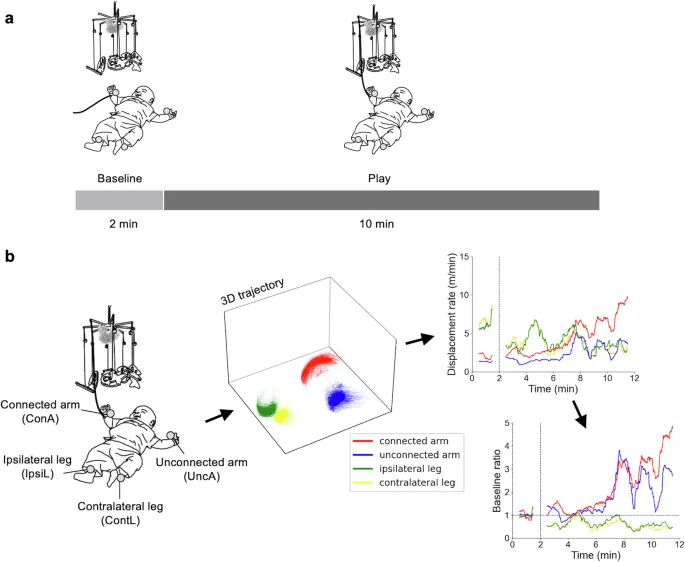 Схема эксперимента: а Процедура эксперимента. б Процедуры сбора и подготовки данных. Скорость смещения представляет собой количество движения каждой конечности в 1-минутном временном окне. Базовое отношение — это отношение скорости смещения к ее среднему значению в базовой фазе. Таким образом, среднее значение базового отношения за базовую фазу равно 1.