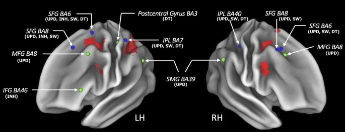 Фигура 5: Иллюстрация единства и разнообразия ИФ