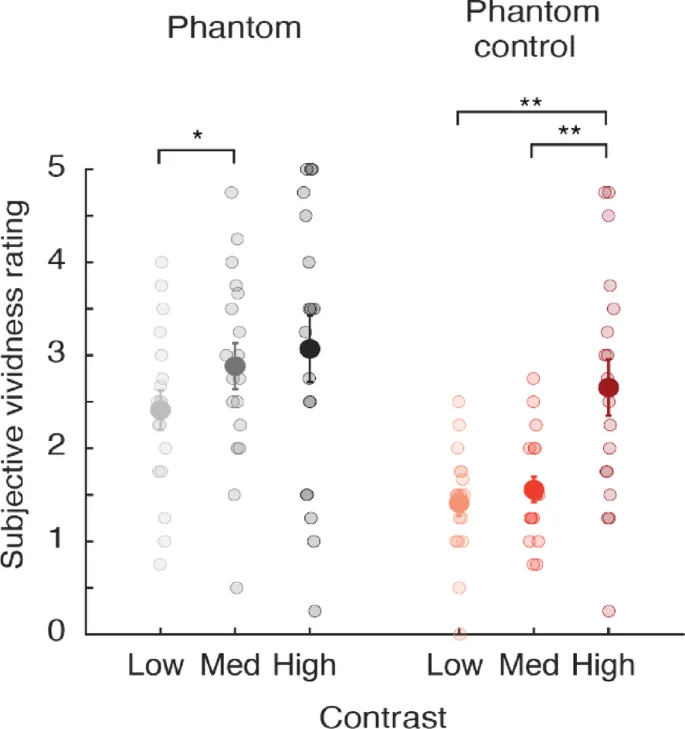 Рисунок 2: Средние оценки яркости для фантомных и контрольных индукторов.