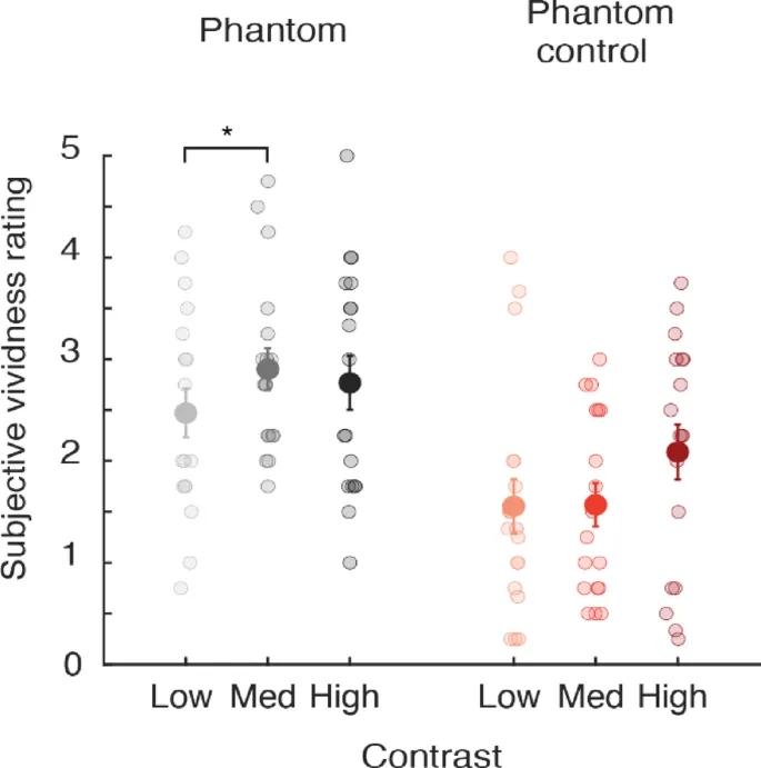 Рисунок 5: Средние оценки яркости перед экспериментом с динамическим MAE.