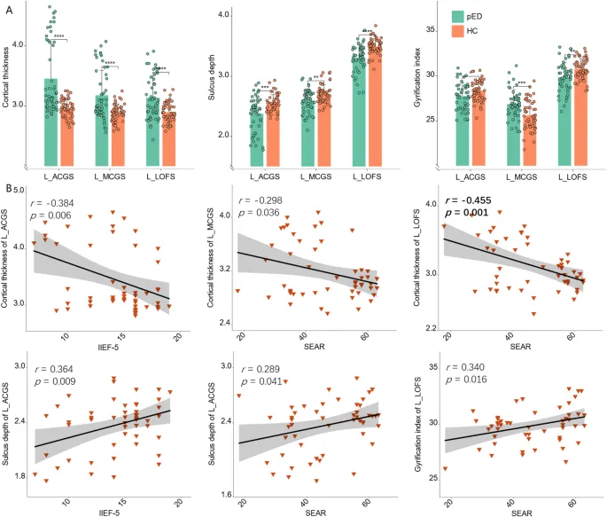 Рисунок 3: Корреляция между параметрами коры и симптомами