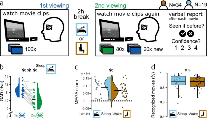 Рисунок 6: Влияние сна на память