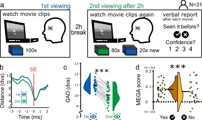 Рисунок 5: Результаты с натуралистичными видео