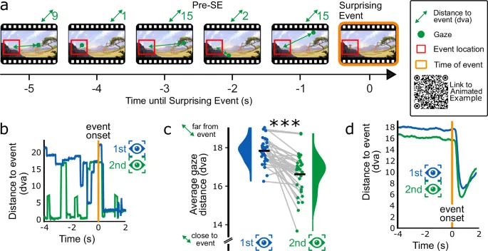 Рисунок 2: Эффект антиципации взгляда