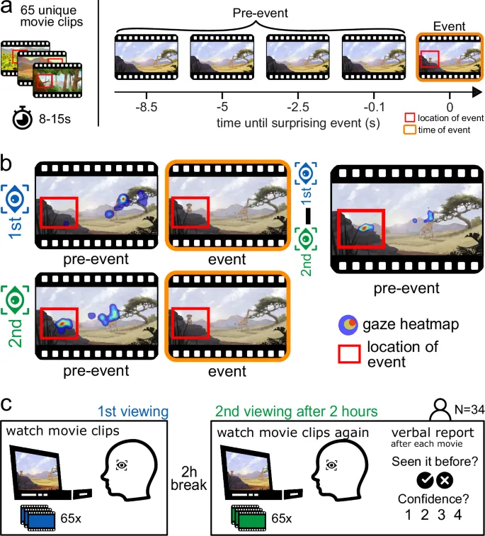 Рисунок 1: Схема парадигмы MEGA