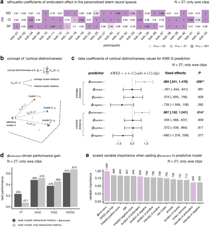 Рисунок 5: Кортикальная различимость амбивалентности
