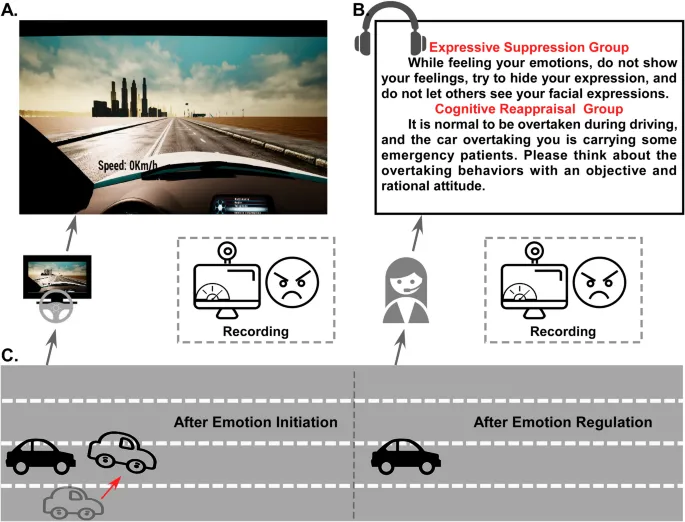 Рисунок 2: Процедура эксперимента