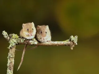 Фотография Белинды Фьюингс на Unsplash