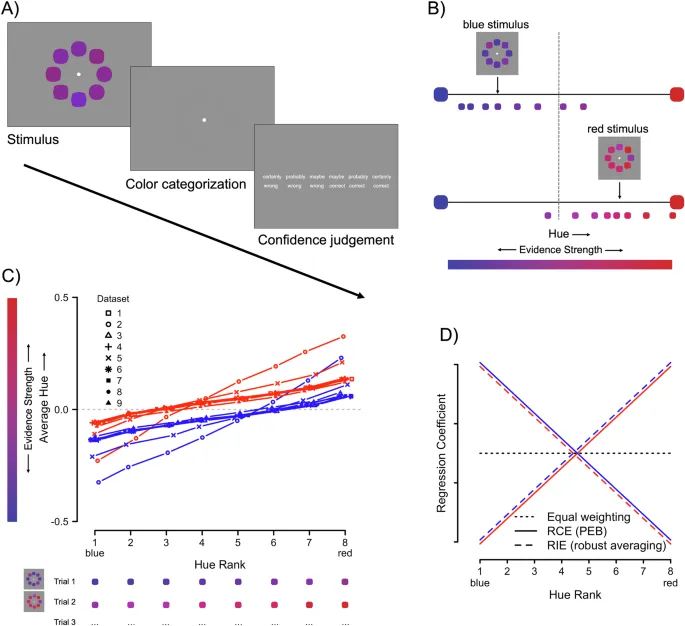Рисунок 1: Экспериментальный дизайн и характеристики стимулов.