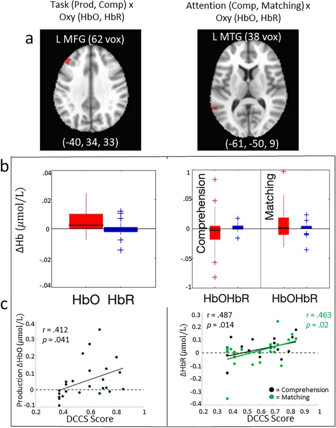 Рисунок 3: Нейронная активация во время задач понимания и продукции названий признаков.