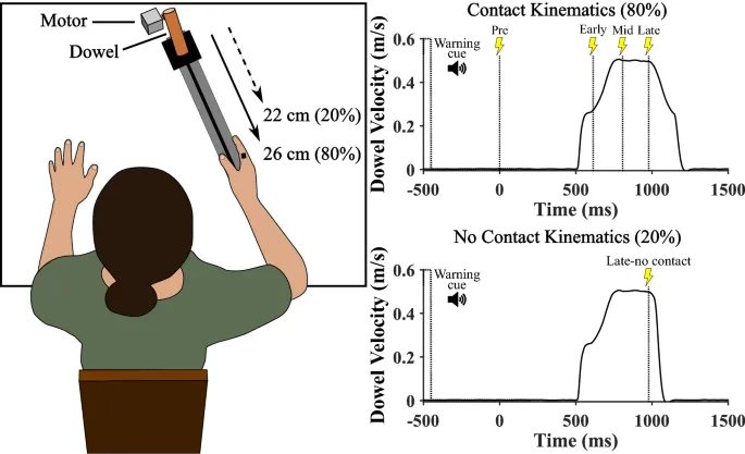 Рисунок 1: Схема экспериментальной установки и траектории объекта.