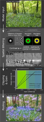 Джолион Тросцианко / PLOS Computational Biology Methods / Открытый доступ
