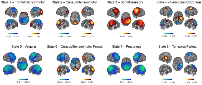Рисунок 2: Визуализация состояний мозга, полученных с помощью Скрытой Марковской Модели