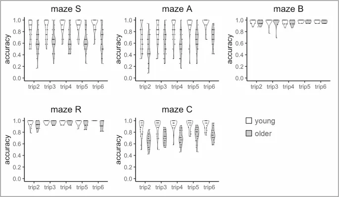Рисунок 1. Пример снимков цепочки событий из поездки по каждому лабиринту.