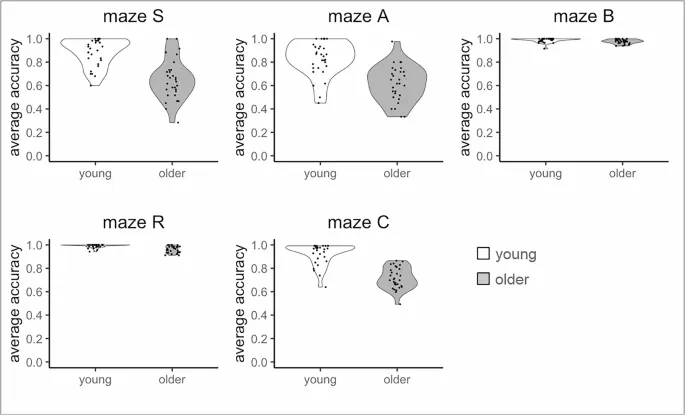 Рисунок 1. Пример снимков цепочки событий из поездки по каждому лабиринту.