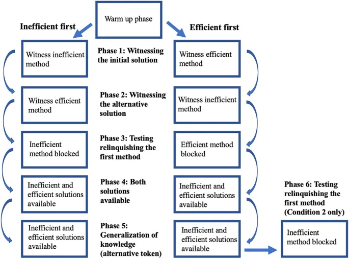 Фигура 3: Диаграмма экспериментального дизайна, иллюстрирующая фазы исследования.