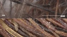 Схема экспериментальной установки с сенсорными панелями