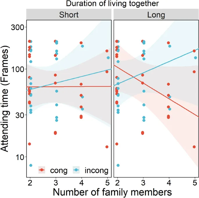 Рисунок 5: Среднее время, проведенное перед монитором (в секундах) в конгруэнтном и инконгруэнтном условиях для групп «Длинная» и «Короткая» продолжительности совместного проживания