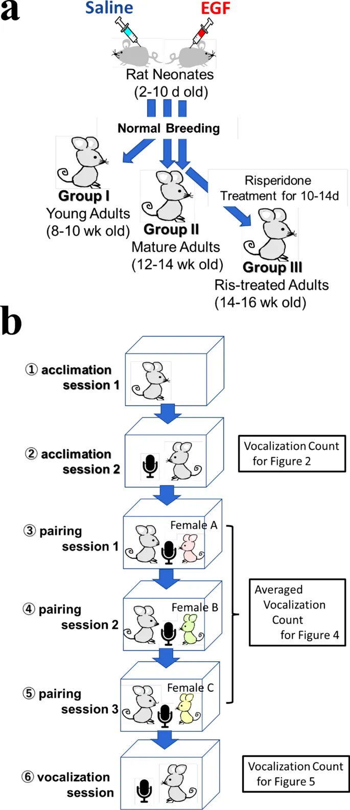 Рисунок 1: Схема протокола исследования