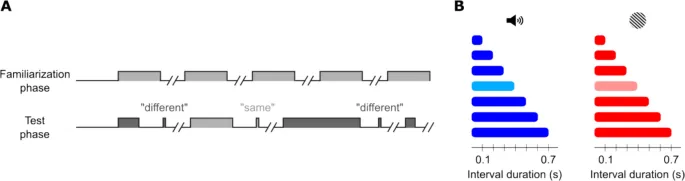 Рисунок 1: Схематическое представление задачи временной генерализации