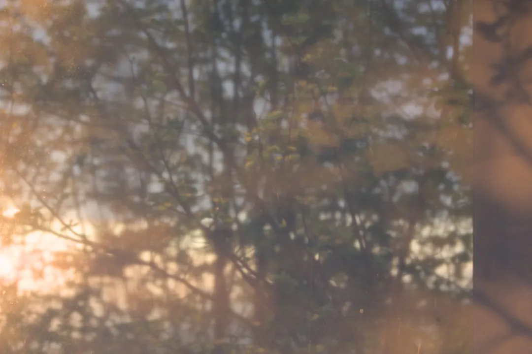 Мягкость как сила: как замедление и принятие нежности улучшают жизнь этим летом