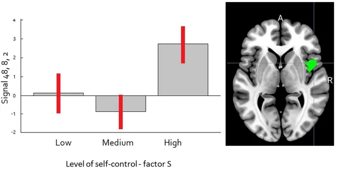 Рисунок 1: График оценки параметра сигнала и его расположение в мозге