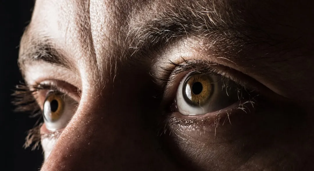 Оценка модели обработки данных для анализа решений свидетелей при опознании