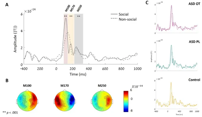 Рисунок 2: Средние вызванные потенциалы (ERFs) для социальных и несоциальных стимулов
