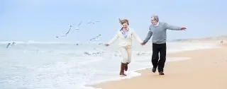 FamVeld/Shutterstock