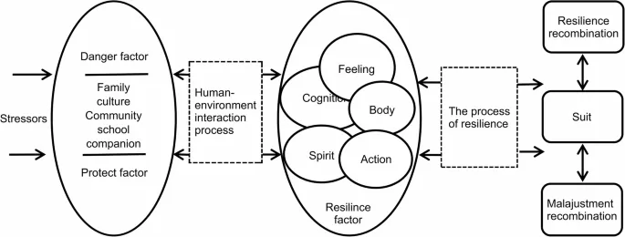 Рис. 1. Модель психологической устойчивости по Кумпферу