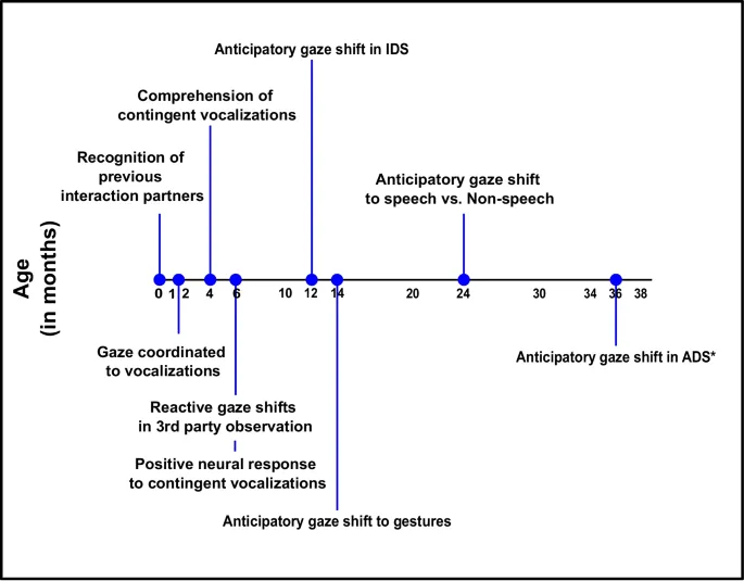 Рисунок 1: Этапы развития навыков очередности в разговоре