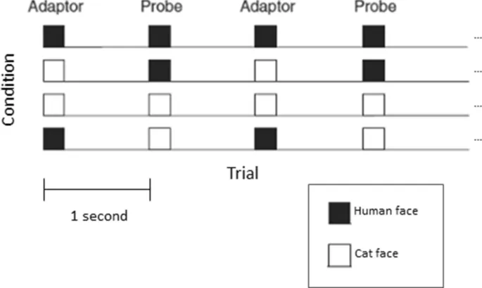 Рисунок 2: Схема парадигмы повторения/адаптации, показывающая различные условия предъявления стимулов.